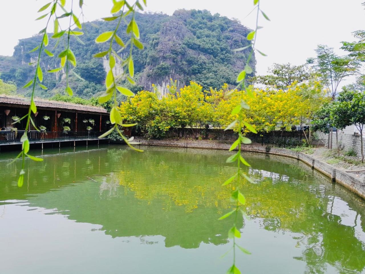 Tam Coc Garden Homestay Ninh Binh Eksteriør bilde