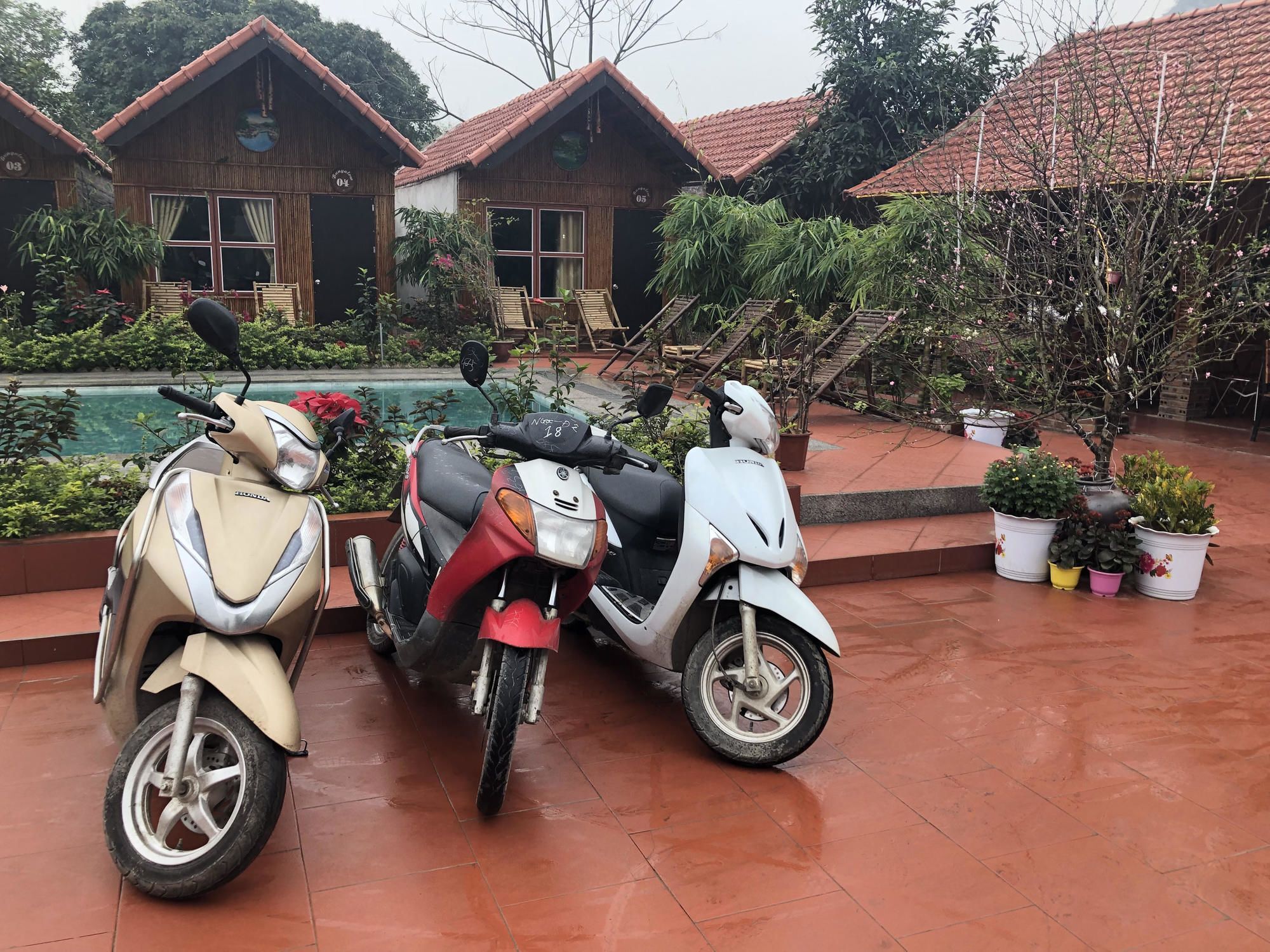 Tam Coc Garden Homestay Ninh Binh Eksteriør bilde