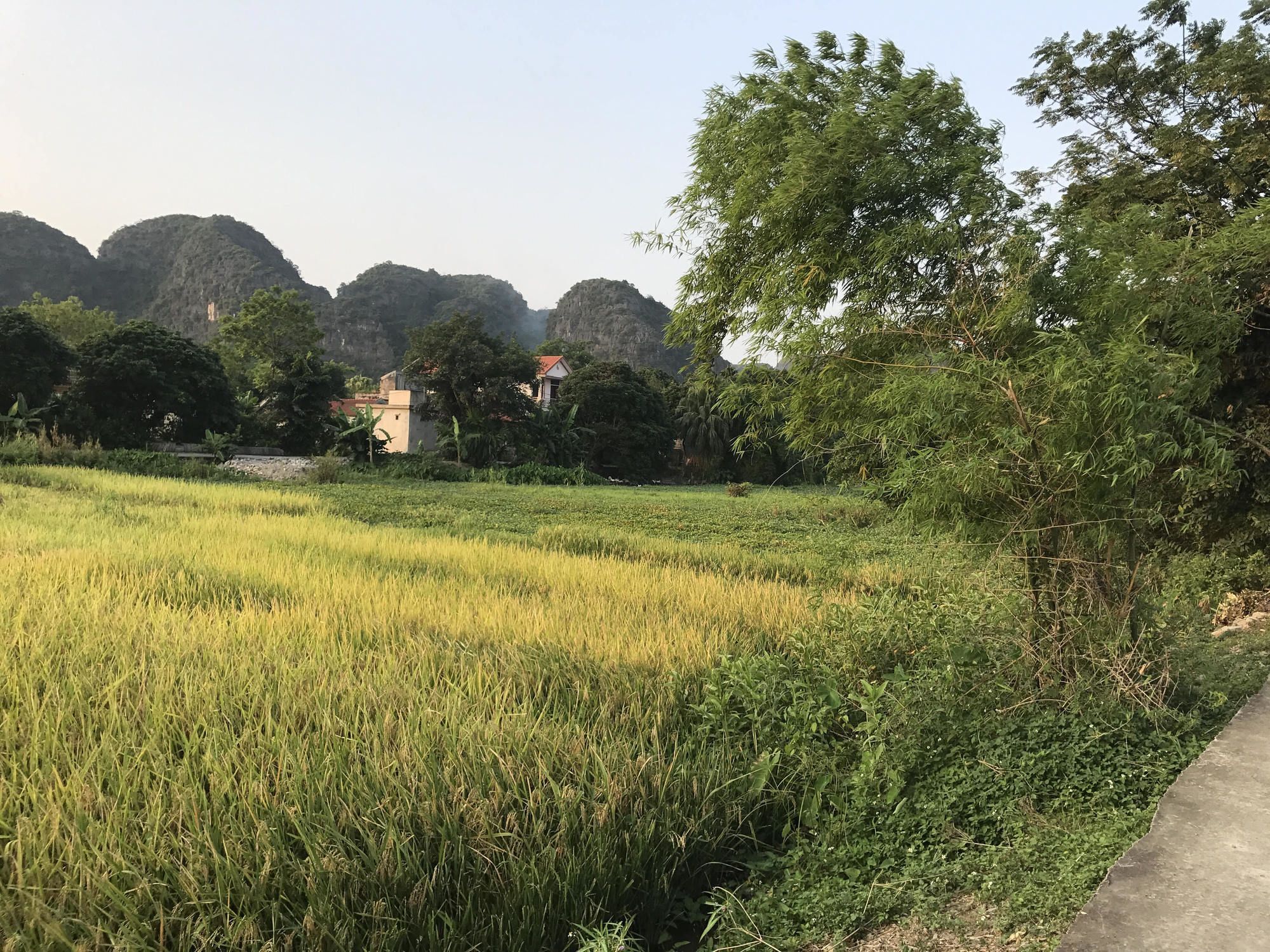 Tam Coc Garden Homestay Ninh Binh Eksteriør bilde
