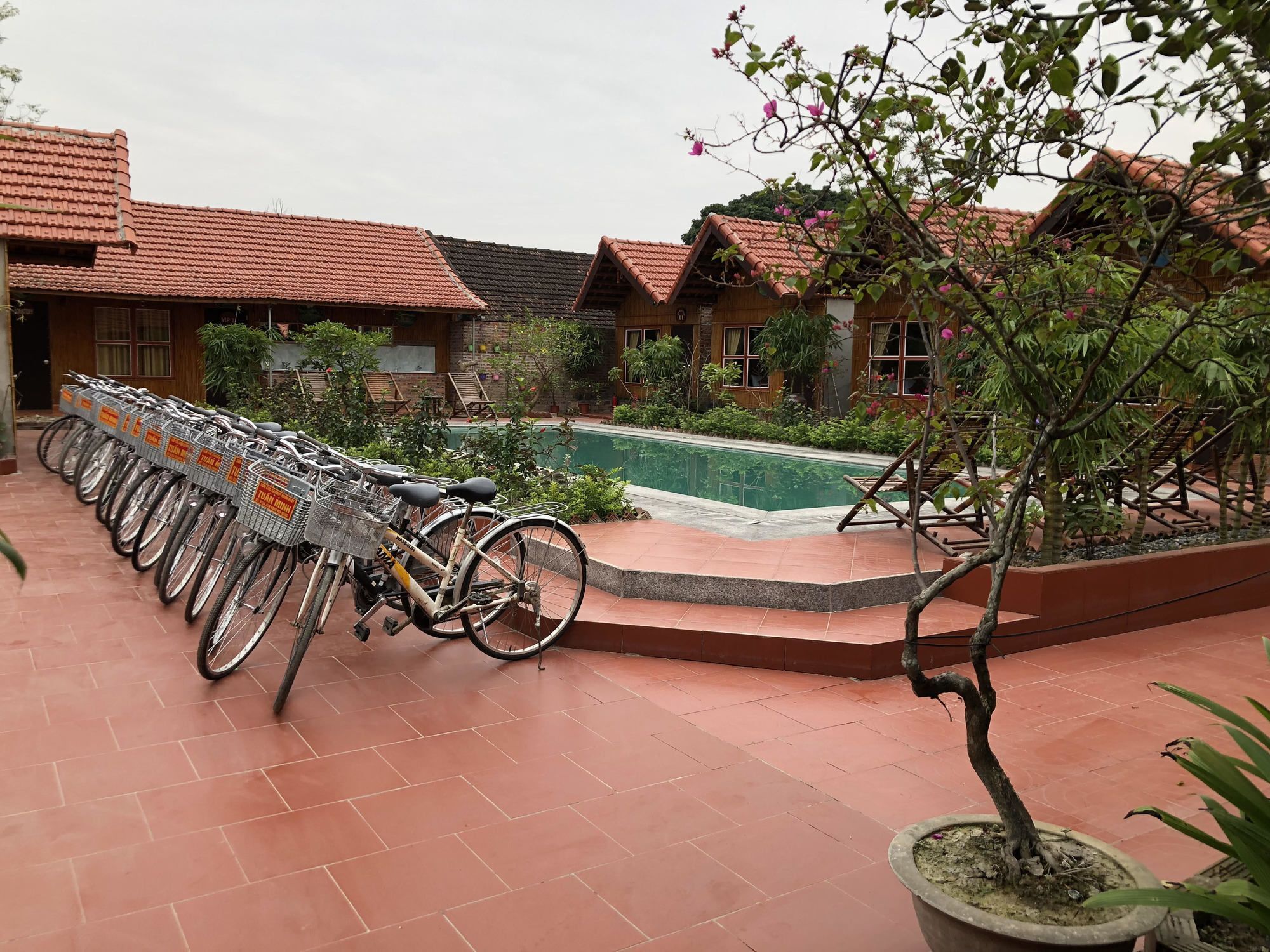 Tam Coc Garden Homestay Ninh Binh Eksteriør bilde
