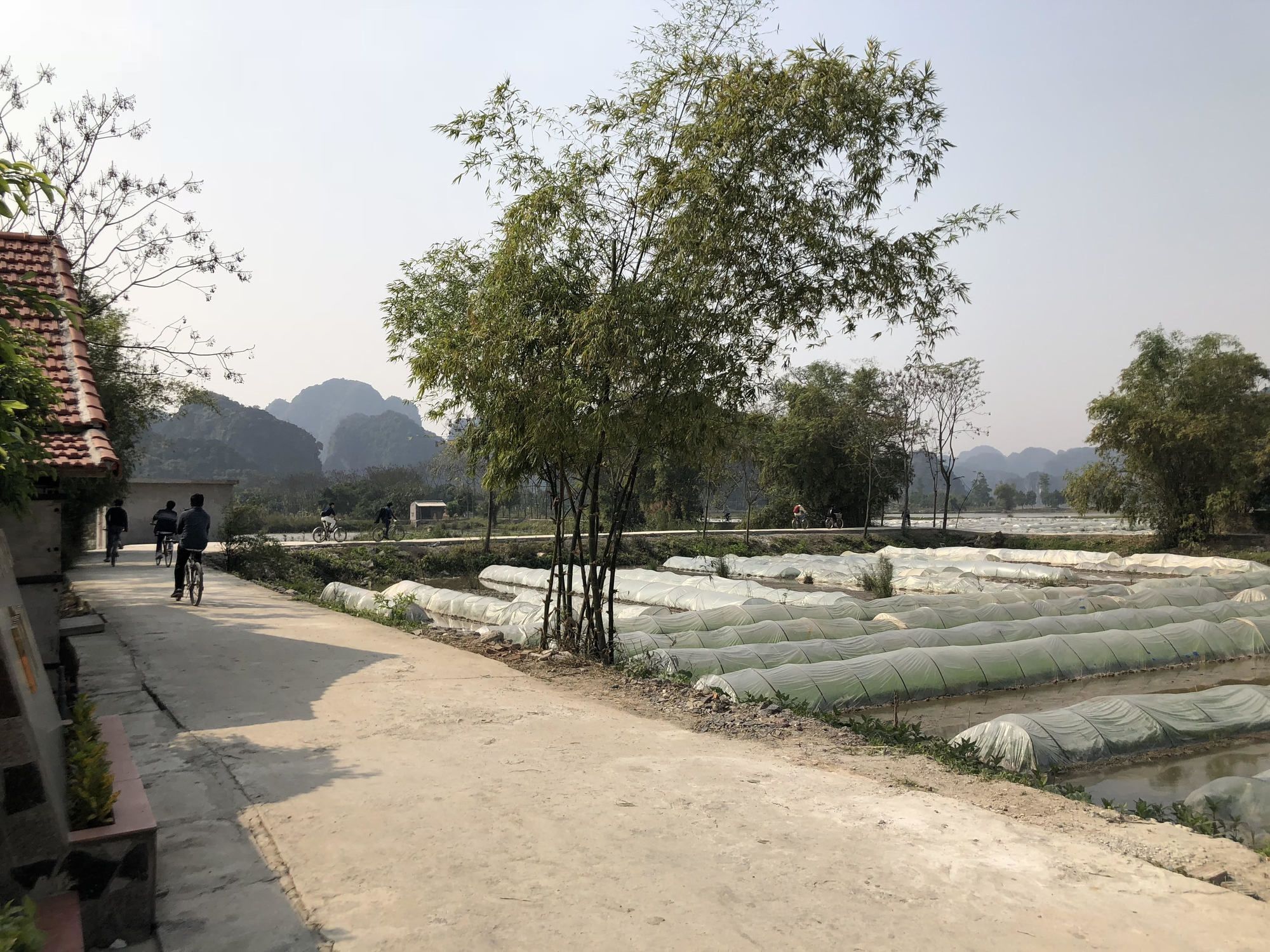 Tam Coc Garden Homestay Ninh Binh Eksteriør bilde
