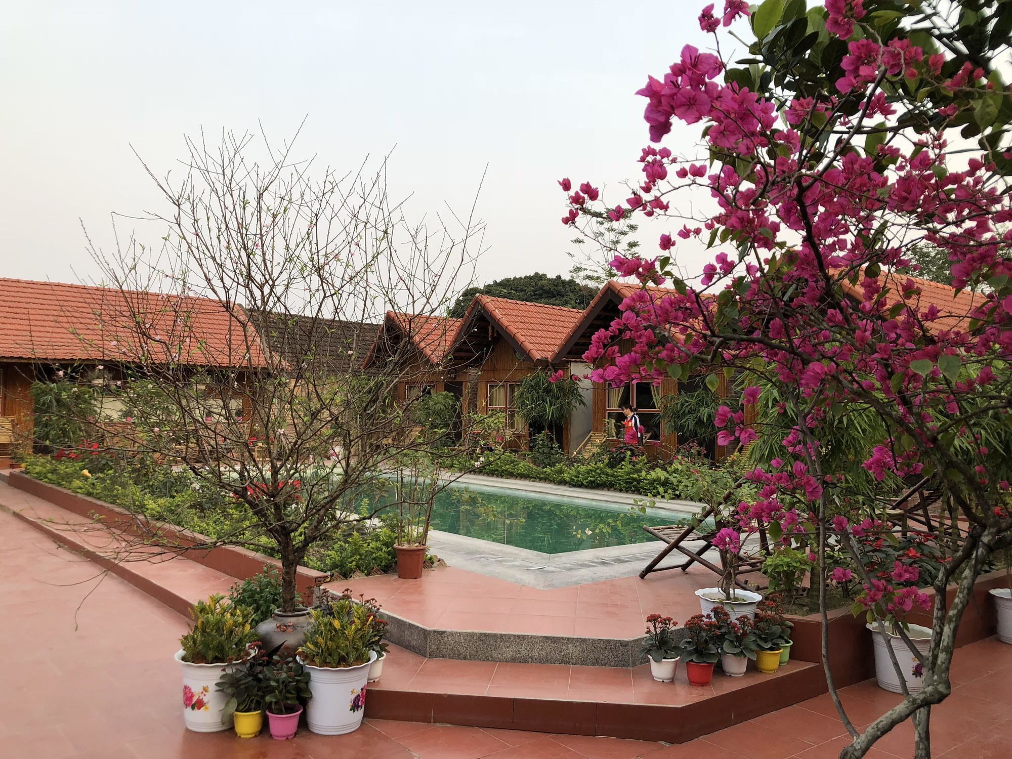 Tam Coc Garden Homestay Ninh Binh Eksteriør bilde